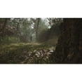 thumbnail image 3 of Metal Gear Solid Delta Snake Eater Xbox Series X Fisico, 3 of 6