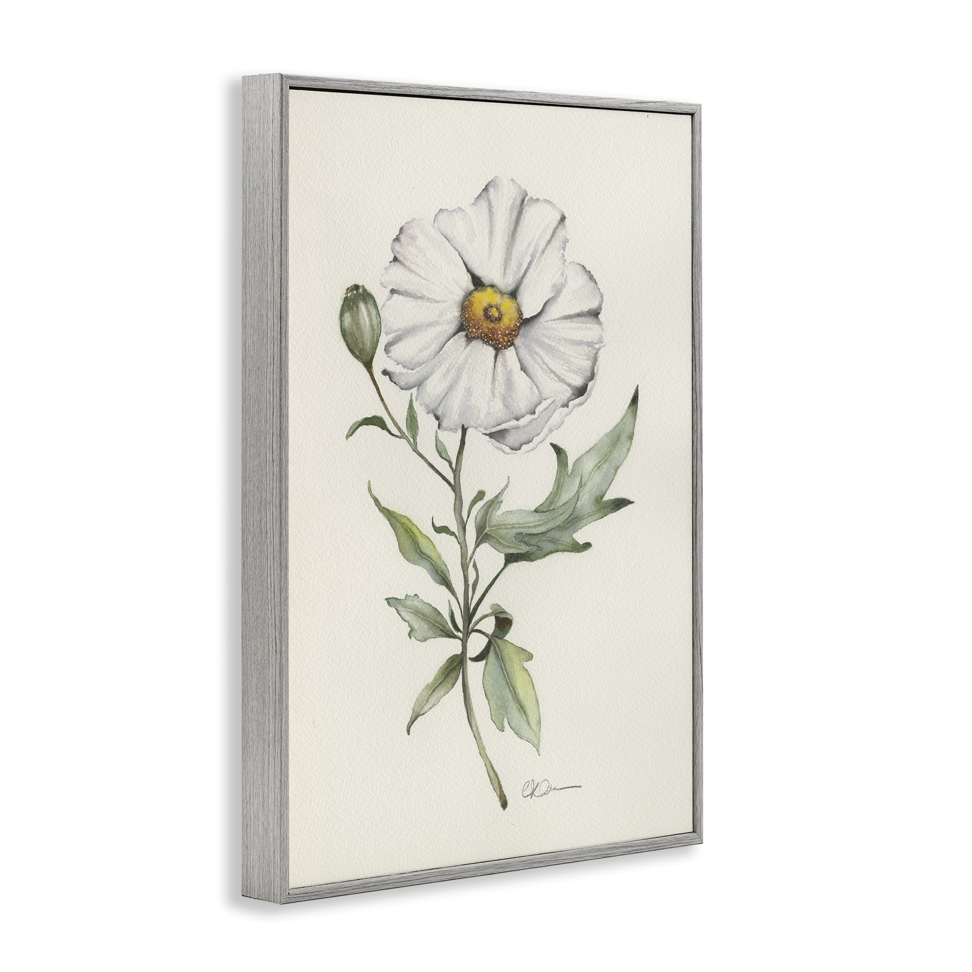 Stupell Industries Natural Wild Blossom Sprig Gray Framed Giclee Art, design by Cady Driver