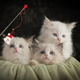 thumbnail image 4 of 2025 Christmas Tickling Cat Stick Dog Puzzles with Cat Toy Cat Slow Feeder Bowl Grinds Self High Cat Dog Puzzles for Small Dogs Tickling Cat Supplies, 4 of 4