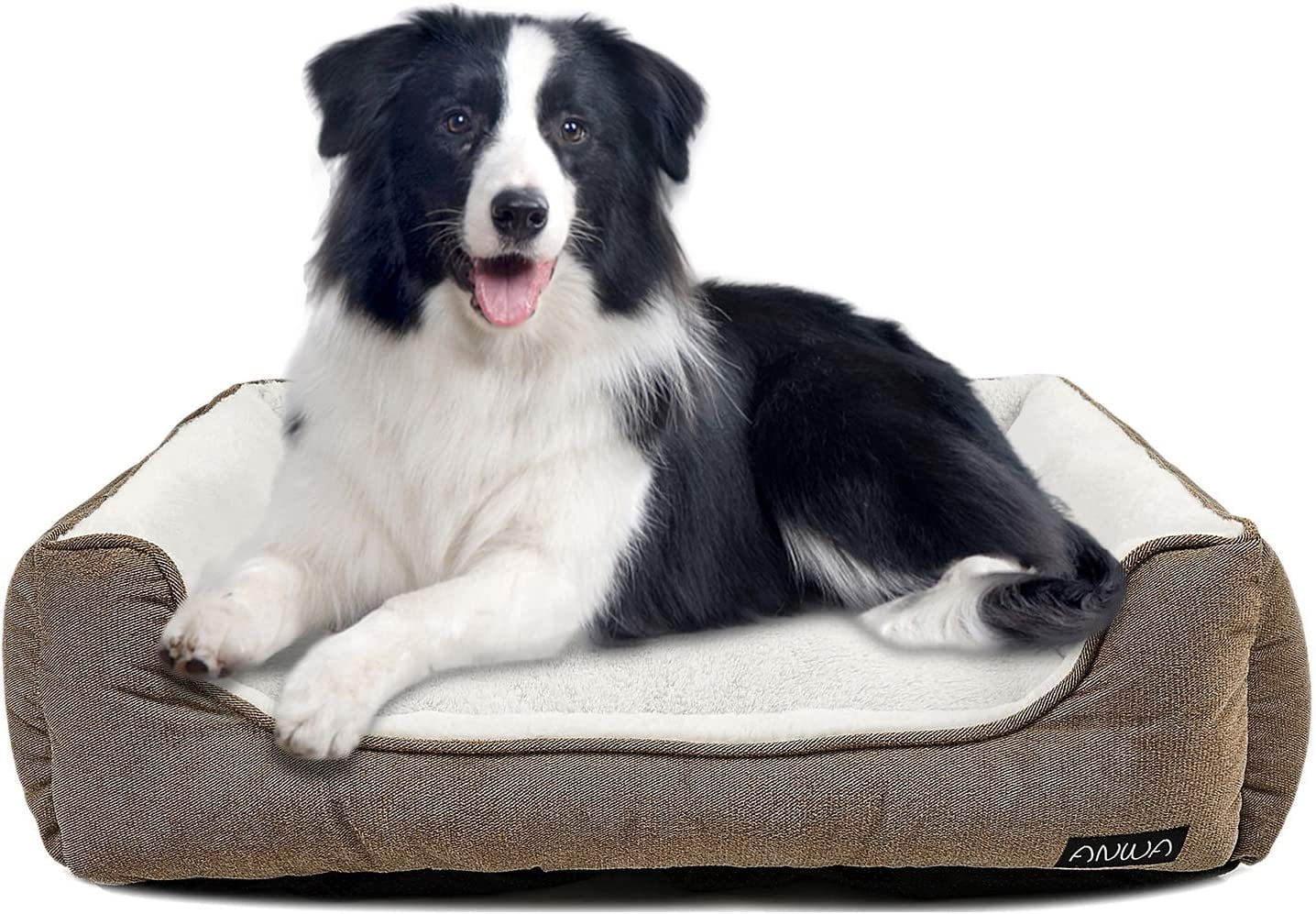 cheap dog beds medium