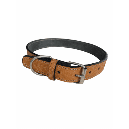 Pawre Genuine Leather Pet Collar Medium (17.4 x 0.75 ) Tepee Brown