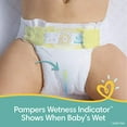 thumbnail image 3 of Pampers Swaddlers Soft and Absorbent Diapers, Size 5, 104 Count, 3 of 5