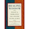 Healing Wisdom: Insight & Inspiration for Anyone Facing Illness [Paperback - Used]
