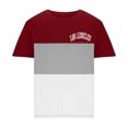 thumbnail image 4 of NoxwB Men's Colorblock LOS ANGELES Letter Printed T-Shirts Lighweight Comfy Regular Fit Crewneck Short Sleeve Pullover Tees Casual Fitness Sport Blouse Wine L, 4 of 5