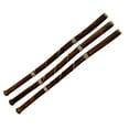 thumbnail image 5 of Hand-fired Modern Didgeridoo - Beeswax Mouthpiece - Easy Player! - Key of D, 5 of 7