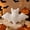 White, variant on Bat Pillow Halloween Decorations Indoor, Black Gothic Bat Shaped Throw Pillows for Couch Bed, Spooky Plush Cushion Holiday Decor Gifts for Adult & Kids, 9.4" x 15.7"(black)Q