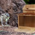 thumbnail image 3 of Minkissy Squirrel Picnic Table Feeder Brown for Backyard 1Pack, 3 of 5