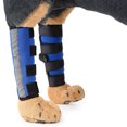 thumbnail image 3 of La venda para la articulación de la pata trasera protege la herida mientras cicatriza, comprime la envolturaHJ12 Knee Brace Blue (Reflectante de segunda generación)M, 3 of 5