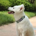 thumbnail image 6 of Didog Personalized Dog Collar Soft Padded Nylon with Custom Pet Name Engraved Buckle S-L, 6 of 6