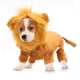 thumbnail image 1 of Disfraz de león para perro, ropa para mascotas para fiesta, simulación de león, trajes para mascotas, disfraz de cosplay, sudadera con capucha para mascota, talla XL, 1 of 5