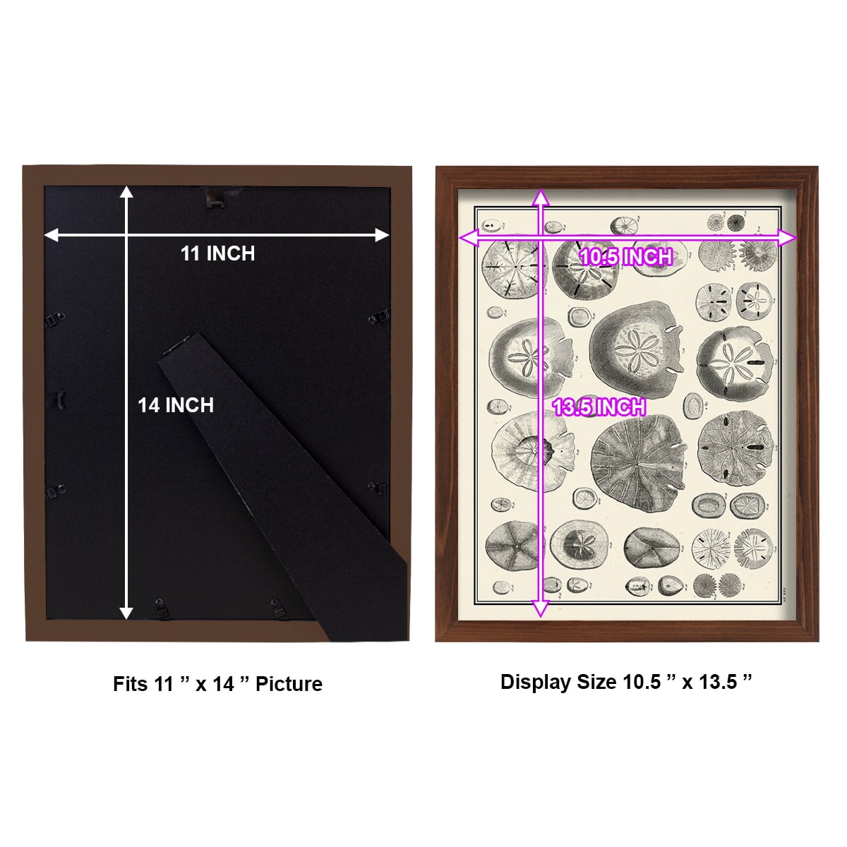 Aegean Collection II -Framed Print w/glass-Chestnut