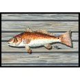 thumbnail image 1 of Carolines Treasures 8489-JMAT 36 x 24 Po Poisson Rouge Paillasson Intérieur Ou Extérieur, 1 of 4