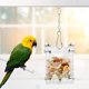 thumbnail image 2 of Juguetes de alimentación para loros Ticfox comedero Acrílico para mascotas, 2 of 12