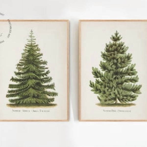 Set of 2 Vintage Christmas Tree Prints, Pine Tree Print, Spruce Tree Print, Christmas Wall Art, Botanical Prints, Christmas Decor, Poster Only