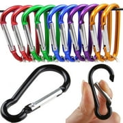 Fule Carabiner Keychain Clip - Aluminum Carabeaner Key Clip,D Ring Shape Caribeener Hook Buckle,Spring Snap Key Chain Clips, for Hammocks Camping Accessories Locking Dog Leash and Harness(10pcs)