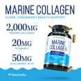 thumbnail image 4 of Marine Collagen Capsules Hyaluronic Acid & Vitamin C | Skin Elasticity, Hydration, Hair, Nail & Joint Support | Pescatarian-Friendly 30 Servings, 4 of 6