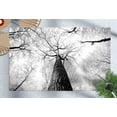thumbnail image 2 of Cute Rugs, Tree Branch Rugs, Stair Rugs, Soft Rugs, Forest View Rugs, Tree Rugs, View Rugs, Gift For Him Rugs, 3D Printeds Rug, Home Decor, 3.9'x5.9' - 120x180 cm, 2 of 8