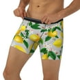 thumbnail image 2 of Sigee Lemon Seamless Pattern Oil Painting Effect for Men's Boxer Briefs,Moisture Wicking and Breathable XX-Large, 2 of 9