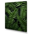 thumbnail image 2 of Designart "Delicate Intricacy Ferns Plant wall art" Floral & Botanical Canvas Print, 2 of 5