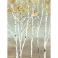 thumbnail image 2 of Pearce, Allison 19x24 Gold Ornate Wood Framed with Double Matting Museum Art Print Titled - Golden Birch, 2 of 4