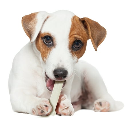 UPC: 0018214778110 | Nylabone Power Chew Dura Chew Chicken Bone Dog Chew Toy Regular