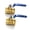 1'', variant on CEORPER High Pressure Brass Pump Ball Valves Flows Control Switches Female Threaded