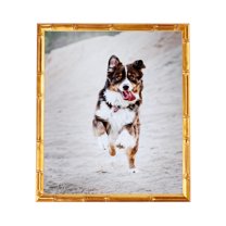 ArtToFrames 12" x 18" .75 Picture Frame, 12x18 inch Gold Wood Poster Frame (WOM-4875), 1 Pack