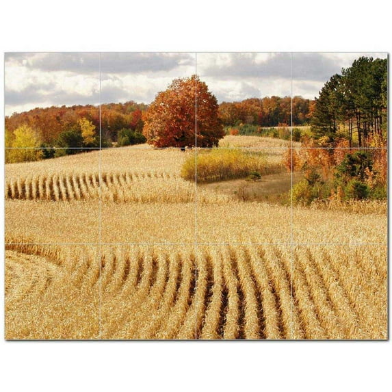 Flower Photo Ceramic Tile Mural Kitchen Backsplash Bathroom Shower 404848-XL43