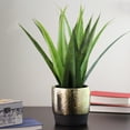 thumbnail image 4 of 17" Artificial Agave Succulent in a Golden Pot, 4 of 4