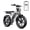 R002-S-15AH-White, variant on TST Electric Bike for Adults, 750W Peak 1500W Motor, 20"x4" Fat Tire, E Mountain Bike, 48V/15AH UL2849