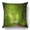 thumbnail image 1 of BSDHOME Magic Forest Path Pillowcase Pillow Cushion Cover 20x20 inch, 1 of 1