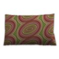 thumbnail image 1 of Ahgly Company à Motifs Intérieur Rectangulaire Pamplemousse Rouge Coussin Lombaire, 13 Pouces par 19 Pouces, 1 of 5