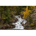 thumbnail image 2 of Haney, Chuck 32x23 White Modern Wood Framed Museum Art Print Titled - Gros Ventre Falls in autumn-Glacier National Park-Montana-USA, 2 of 4