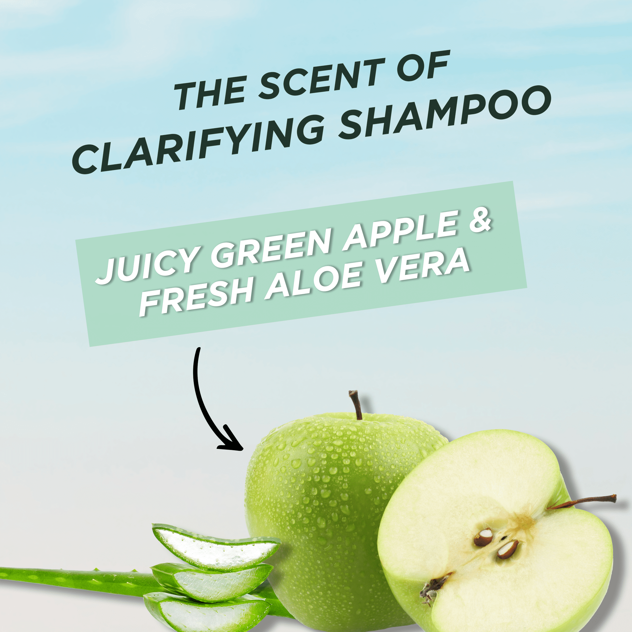 Garnier Fructis Pure Clean Hair Reset Clarifying Shampoo with Aloe Vera, 12 fl oz