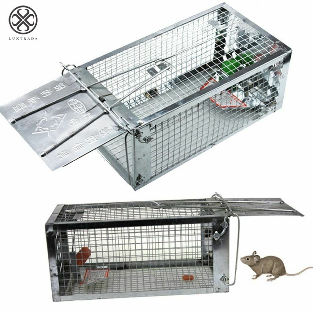 1024px x 1024px - Luxtrada Small Animal Humane Live Cage Rat Mouse Mice Chipmunk Small Rodent  Catch Trap for Indoor and Outdoor for Gopher Opossum Skunk Groundhog  Squirrel Spay Feral Stray Cats Rescue Wild Rabbits -