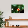 thumbnail image 6 of Epic Graffiti 'Fungus 2' by Dana Brett Munach, Canvas Wall Art, 18"x12", 6 of 8