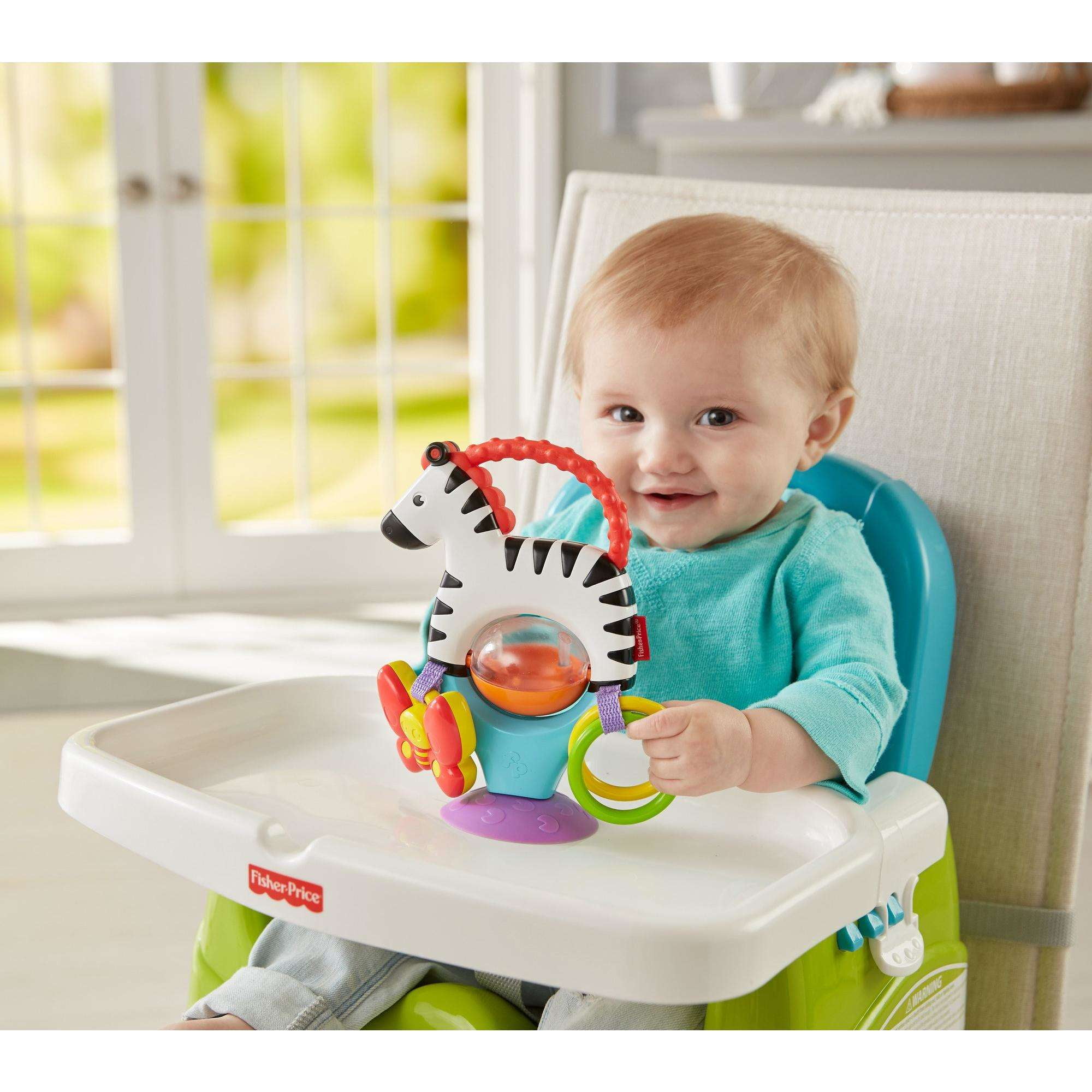 activity zebra fisher price