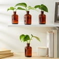 thumbnail image 3 of Farmlyn Creek 6 Pack Small Glass Vases for Centerpieces, Amber 7.5 oz Propagation Jars for Flowers, Table Centerpieces, Apothecary, Home Decor (2.8 x 5 in), 3 of 10