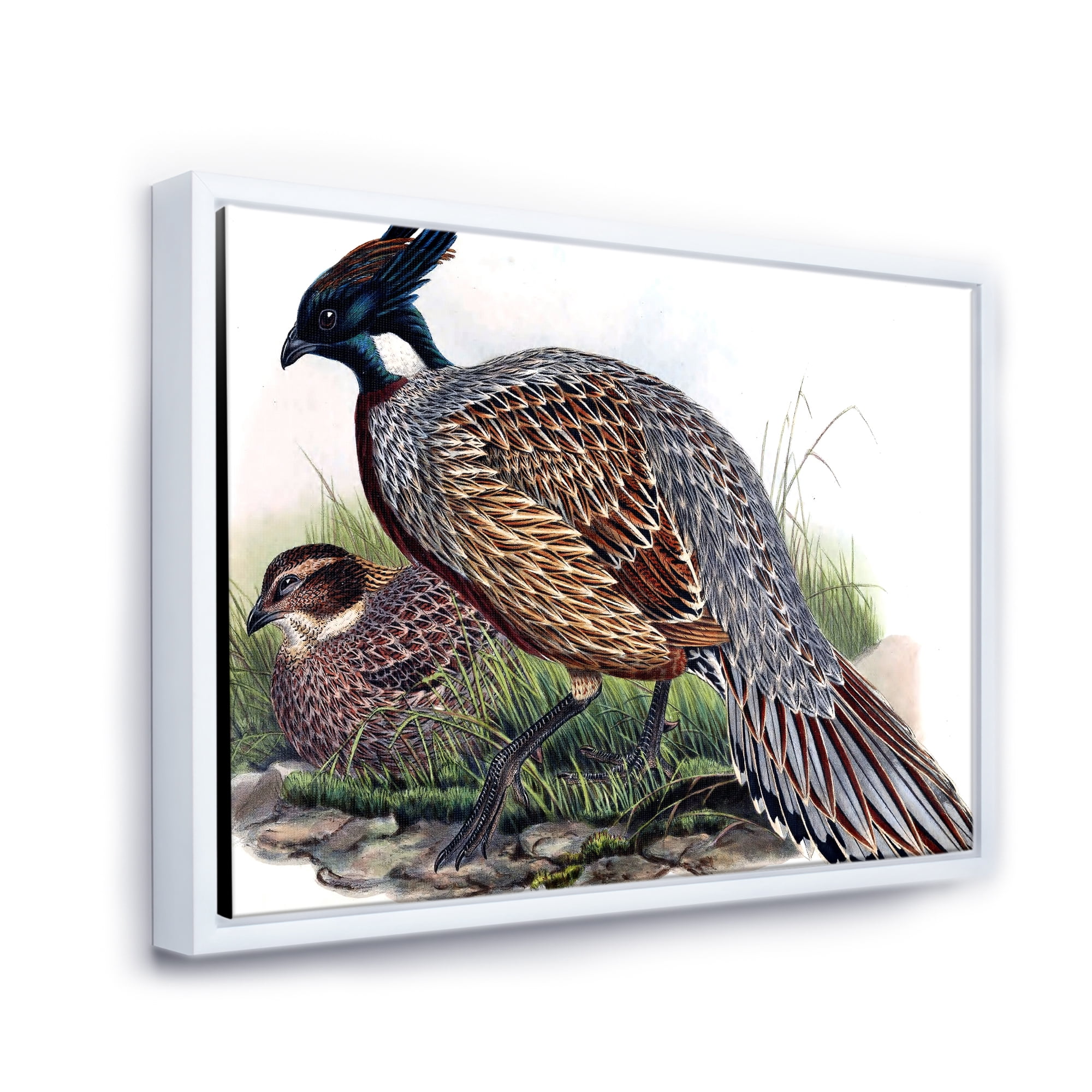 Designart 'Close Up Of Vintage Countryside Birds' Farmhouse Framed Canvas Wall Art Print