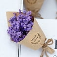thumbnail image 6 of 6 Pcs Mini Dried Flower Bouquet Bulk Wedding Favors for Guests Baby Shower Favors Guest Gifts Natural Gypsophila Dried Flowers Bundle Mother's Day Graduation Home Decoration DIY Crafts Photo Prop, 6 of 9