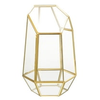 FRCOLOR Geometric Plant Succulent Ecological Bottle Clear Terrarium