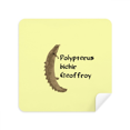 thumbnail image 1 of Polyfin Fish Pritive Freshwater Glasses Cloth Screen Cleaner Suede Fabric 2 Pack, 1 of 2