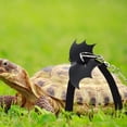 thumbnail image 4 of AVEKI Small Turtle Leash, Adjustable Lizard Traction Rope, Small Reptile Pet Harness Traction Rope, Bearded Dragon Leash, Wing Designed Small Vest Leash for Reptile Pets B0508, 4 of 7