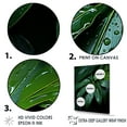 thumbnail image 3 of Designart "Embracing Emerald Jungle Leaves" Palms & Palm Trees Floater Framed Canvas Art Print, 3 of 5
