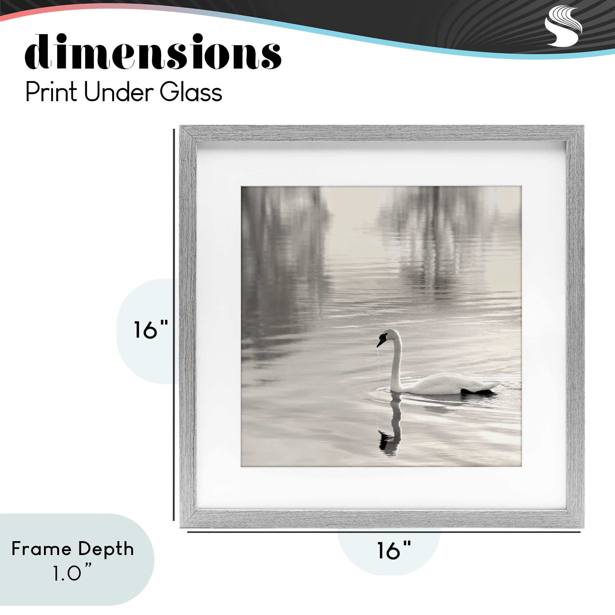 Stupell Industries Morning Sunlit Swan Gray Framed Print Under Glass, design by Nicholas Bell