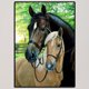 thumbnail image 2 of 5D Taladro Caballos Bordado DIY Costura Del, 2 of 9