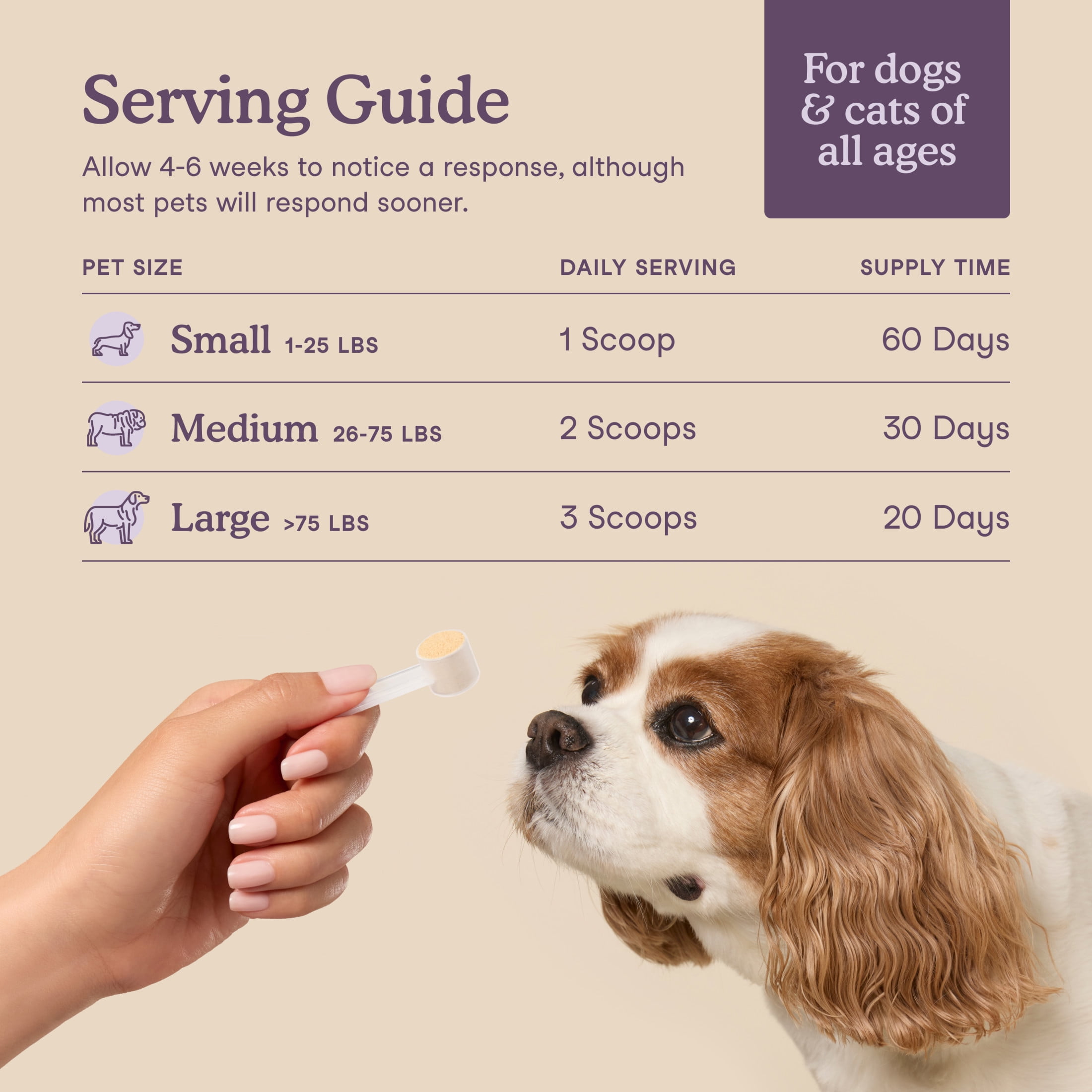 Fera Pets Cat & Dog Calming Powder - With Ashwagandha & L-Theanine - Promotes Stress Relief - 60 Scoops