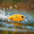 thumbnail image 4 of MInHoues Floating Body Crankbait, 1.77" Hard Fishing Lure for Bass and Trout, Realistic Artificial Swimbait with Spotted Pattern, Freshwater Saltwater Tackle Accessories, 4 of 5