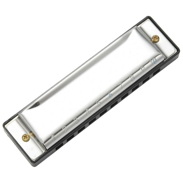10 Holes Blues Harmonica Instrument Stainless Steel Mouth Organ