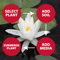 thumbnail image 5 of The Pond Guy Planting Bags for Backyard Water Gardens, Durable Mesh Planter Pot for Lily & Bog Plants, Grow Healthy Aquatic Plants, 9.5-Inch Square, 5 of 7